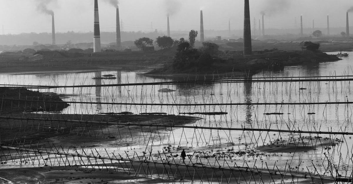 Pollution de l’air : comment agir pour un avenir plus sain