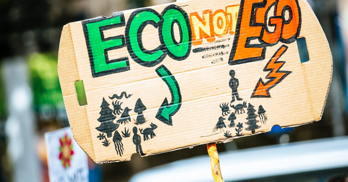 Réchauffement climatique : l’impact sur notre avenir en danger