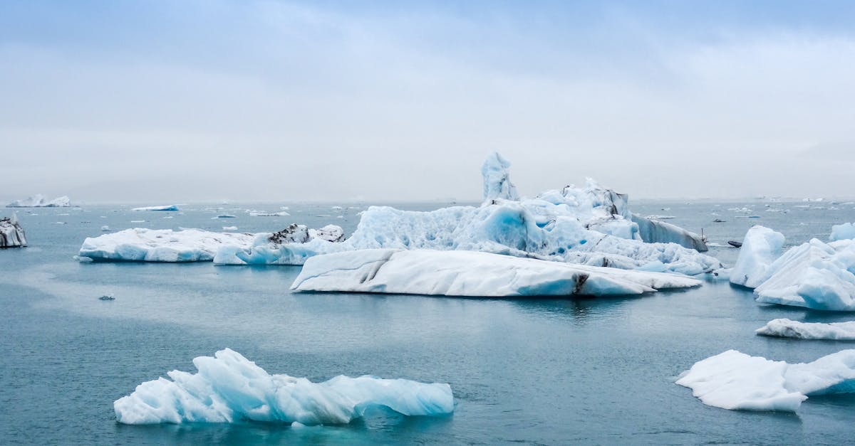 découvrez comment le changement climatique affecte notre planète et comment nous pouvons agir pour préserver notre environnement. informez-vous sur les causes, les effets et les solutions face à ce défi mondial.