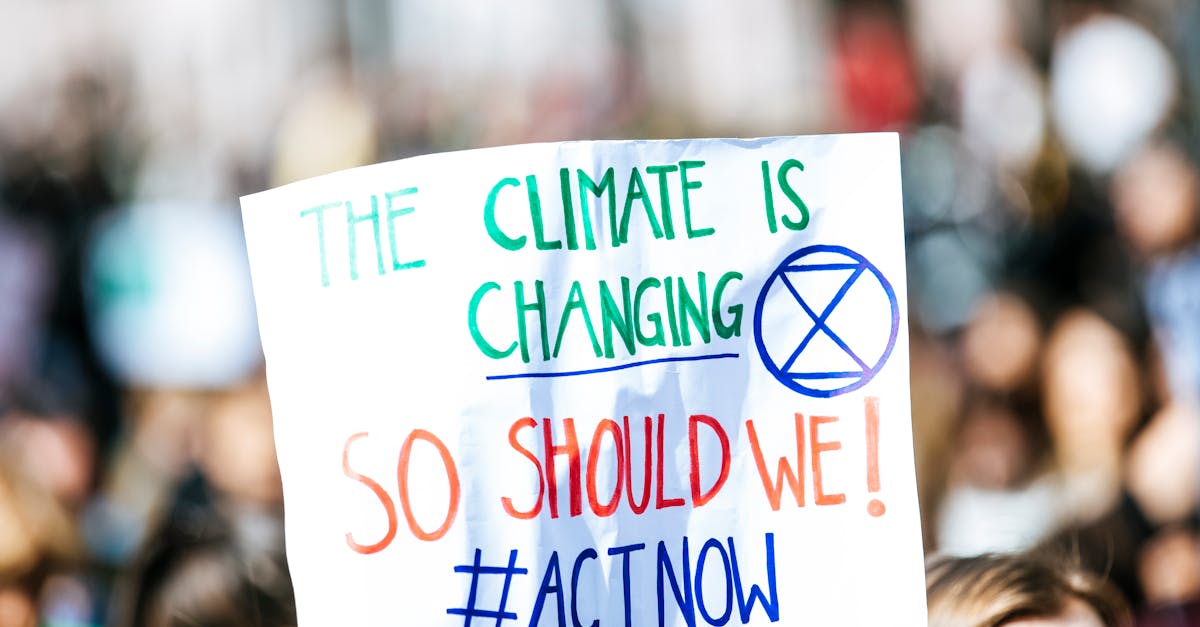 découvrez l'impact du changement climatique sur notre planète et les actions nécessaires pour lutter contre cette crise environnementale. informez-vous sur les causes, les effets et les solutions pour un avenir durable.