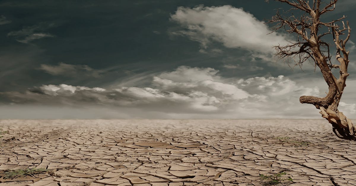 découvrez les enjeux du changement climatique, ses impacts sur notre planète et les solutions pour préserver notre environnement pour les générations futures.