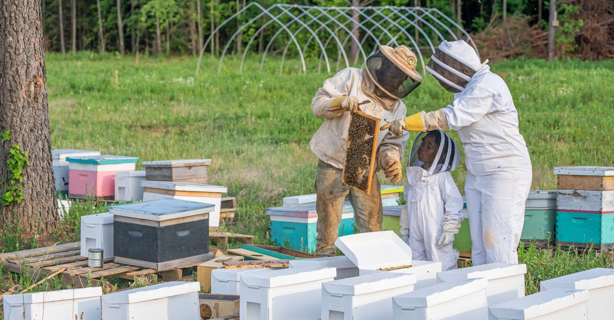 découvrez l'importance de l'éducation environnementale pour sensibiliser les générations futures aux enjeux écologiques, encourager des pratiques durables et promouvoir un changement positif pour notre planète.