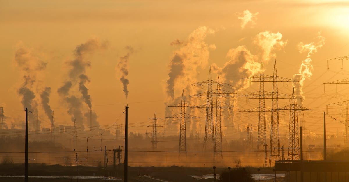 découvrez les enjeux cruciaux de la protection de l'environnement. informez-vous sur les actions à entreprendre pour préserver notre planète et soutenir des initiatives durables. engagez-vous pour un avenir écologique.