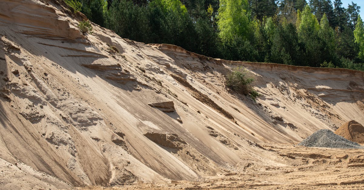 découvrez l'importance des ressources naturelles dans notre environnement. apprenez comment elles soutiennent l'économie, préservent la biodiversité et jouent un rôle clé dans la durabilité de notre planète.