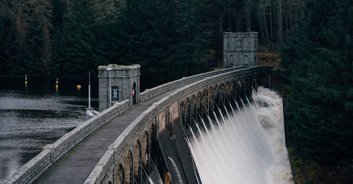 découvrez l'importance des ressources naturelles, leur impact sur notre environnement et leur rôle essentiel dans notre quotidien. apprenez comment préserver ces richesses pour les générations futures.