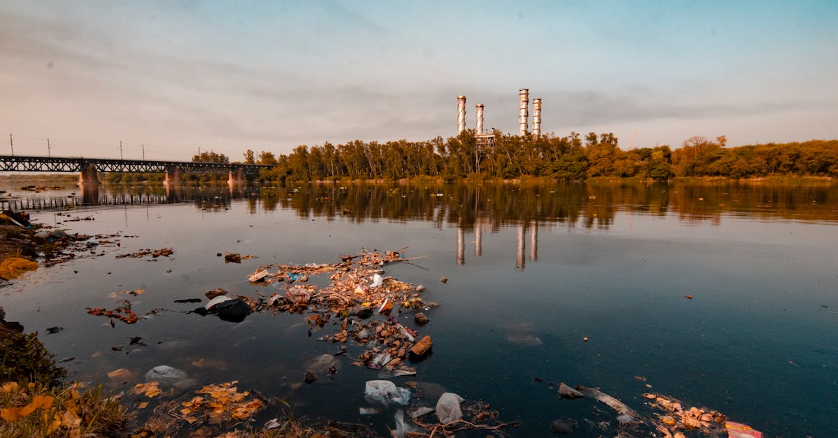 découvrez les causes et les conséquences de la pollution sur notre environnement et notre santé. apprenez comment agir pour réduire votre empreinte écologique et préserver notre planète pour les générations futures.