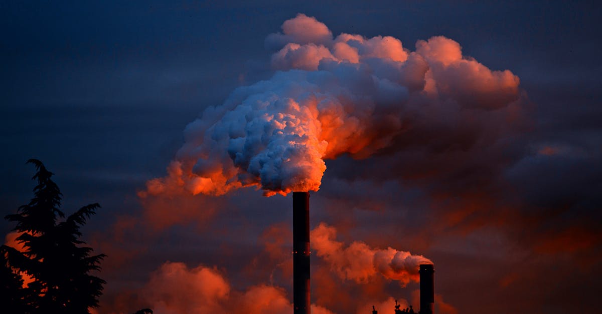 découvrez les causes, les effets et les solutions à la pollution de l'air, de l'eau et des sols. engagez-vous pour un environnement plus sain et apprenez comment réduire votre empreinte écologique.