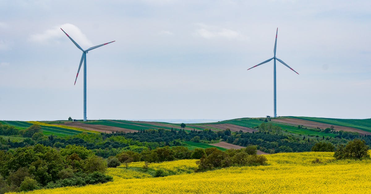 découvrez les énergies renouvelables, une solution essentielle pour un avenir durable. explorez les avantages des sources d'énergie alternatives comme le solaire, l'éolien et l'hydraulique pour réduire votre empreinte carbone et préserver notre planète.