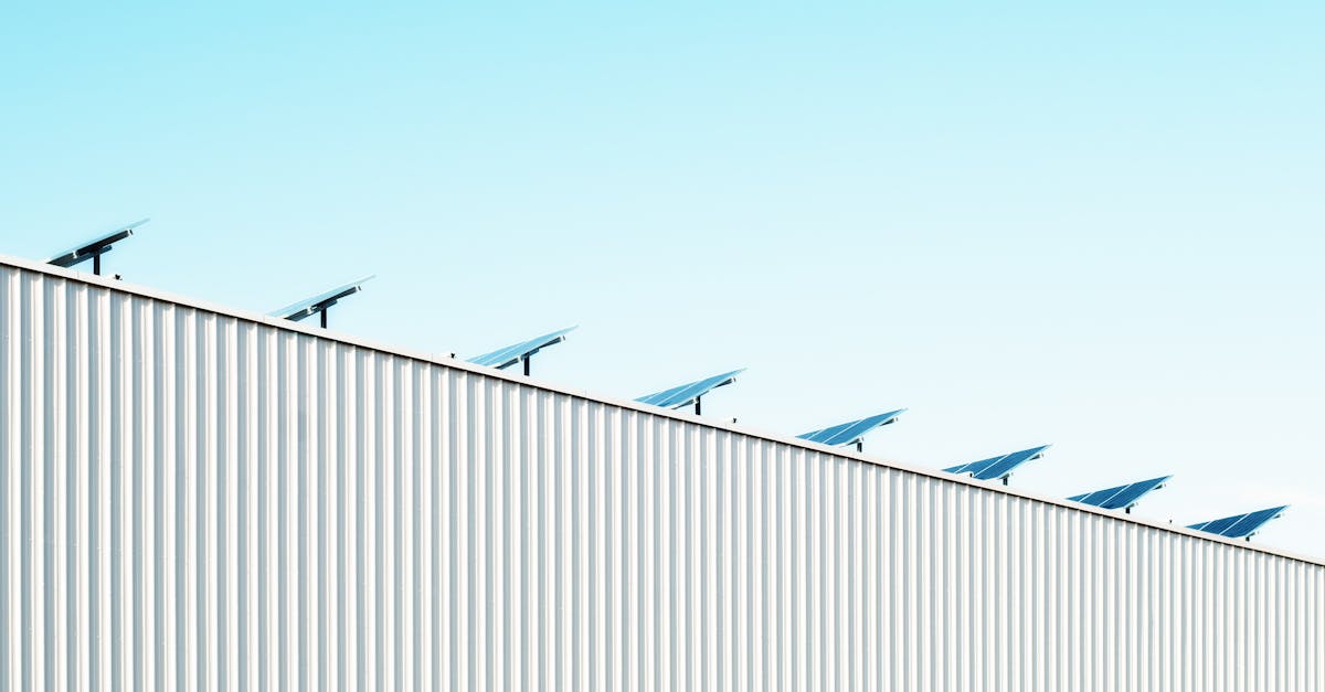 découvrez l'importance de la durabilité dans notre mode de vie moderne. apprenez des stratégies pratiques pour réduire votre empreinte écologique, promouvoir des pratiques éthiques et contribuer à un avenir plus vert pour les générations futures.