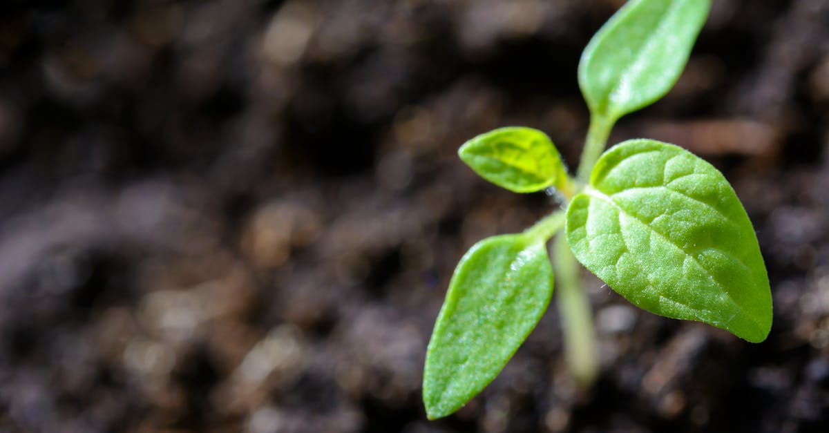 découvrez l'importance de la durabilité et comment elle façonne notre avenir. explorez des pratiques écoresponsables, des innovations vertes et des solutions pour un mode de vie durable qui protège notre planète pour les générations futures.