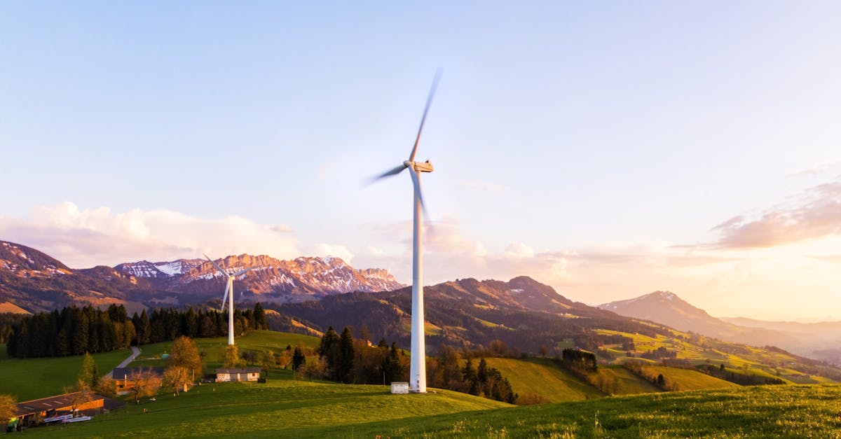 découvrez les principes de la durabilité et comment ils transforment notre consommation, notre économie et notre mode de vie. rejoignez le mouvement vers un avenir respectueux de l'environnement.