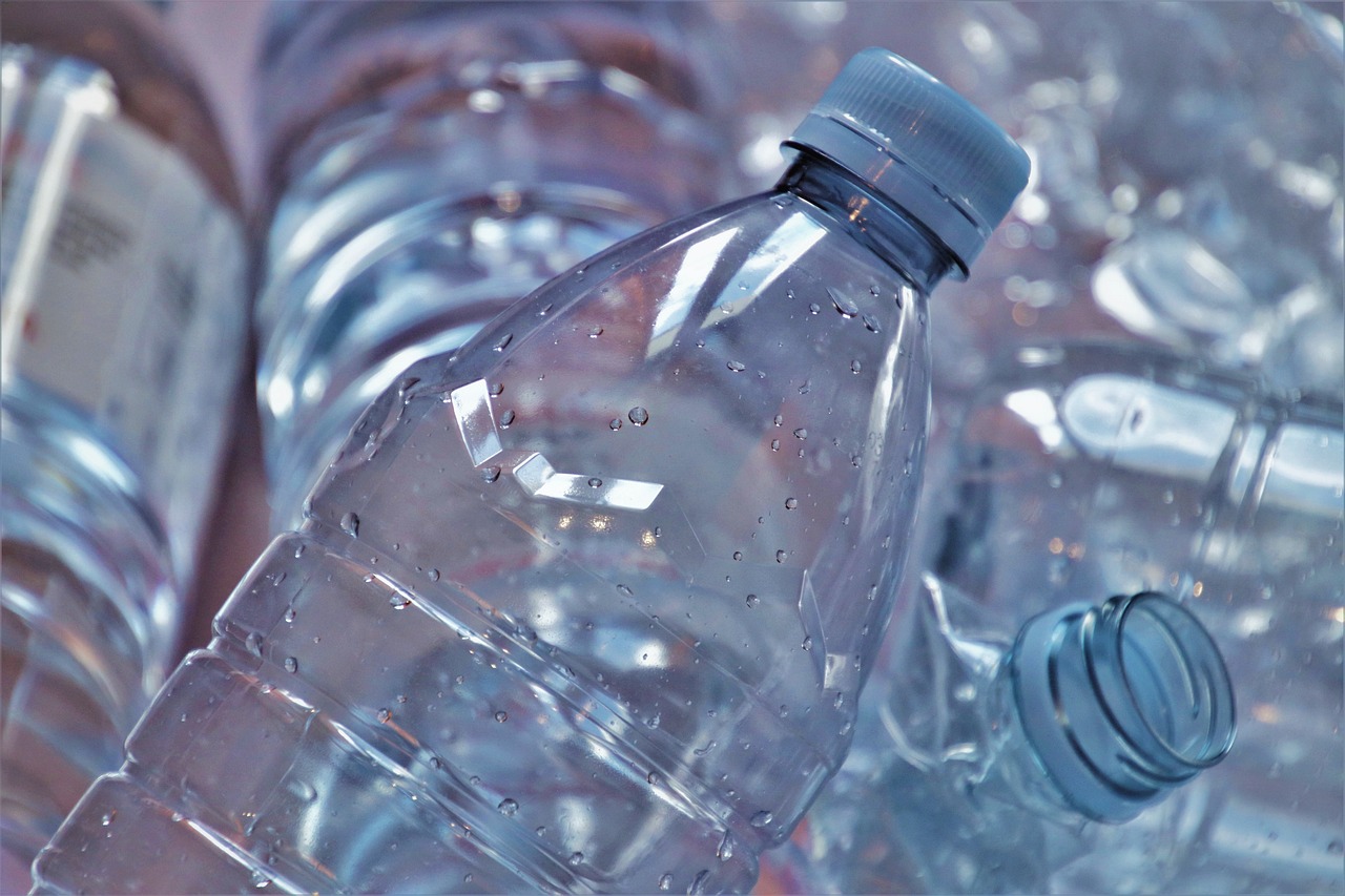 découvrez l'art de la durabilité : apprenez comment adopter des pratiques respectueuses de l'environnement, réduire votre empreinte carbone et contribuer à un avenir plus vert et responsable.
