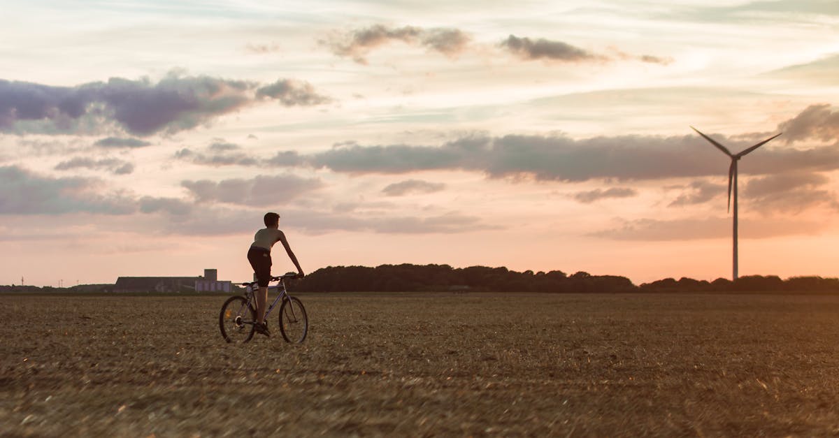 découvrez des pratiques et des solutions durables pour un avenir meilleur. explorez l'importance de la durabilité dans notre quotidien et comment chacun peut contribuer à la protection de notre planète.