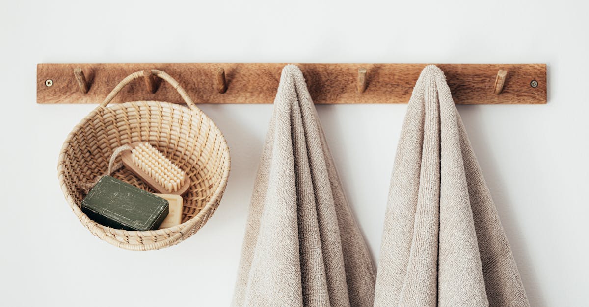 découvrez comment vivre de manière durable : nos conseils et astuces pour un mode de vie respectueux de l'environnement. explorez des solutions écologiques et des idées innovantes pour réduire votre empreinte carbone.
