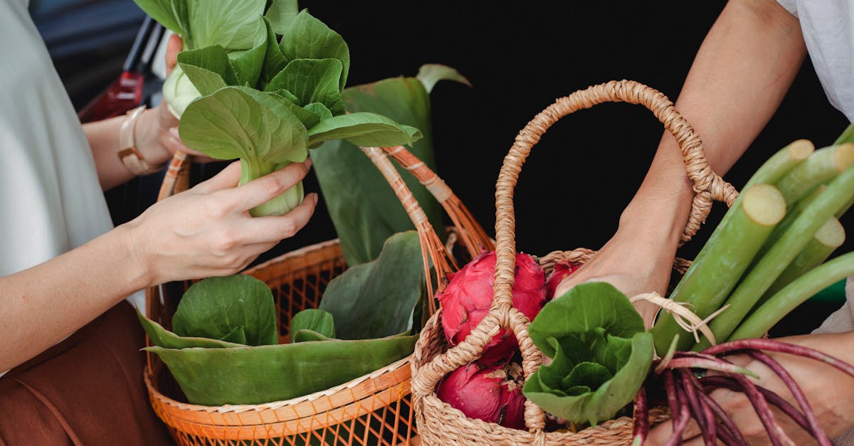 découvrez l'importance de la consommation durable et comment adopter des pratiques respectueuses de l'environnement pour un avenir meilleur. explorez des conseils et des solutions pour réduire votre empreinte écologique tout en préservant la qualité de vie.