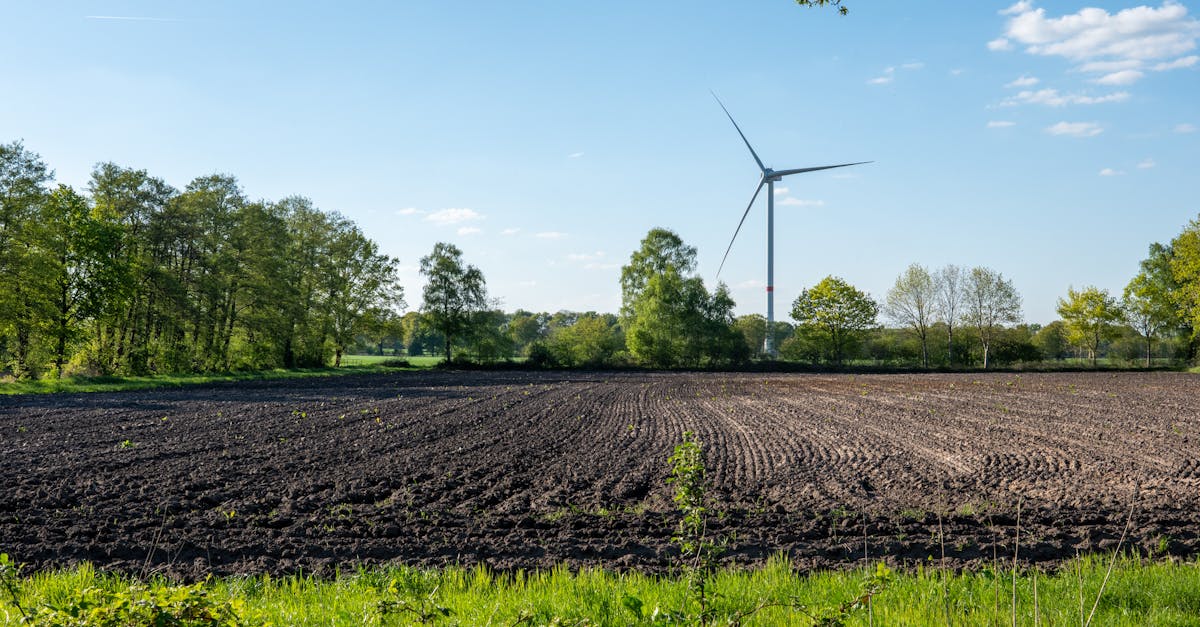 découvrez les principes du développement durable, une approche essentielle pour préserver notre planète tout en répondant aux besoins des générations présentes et futures. apprenez comment intégrer des pratiques durables dans votre quotidien pour un avenir plus vert.