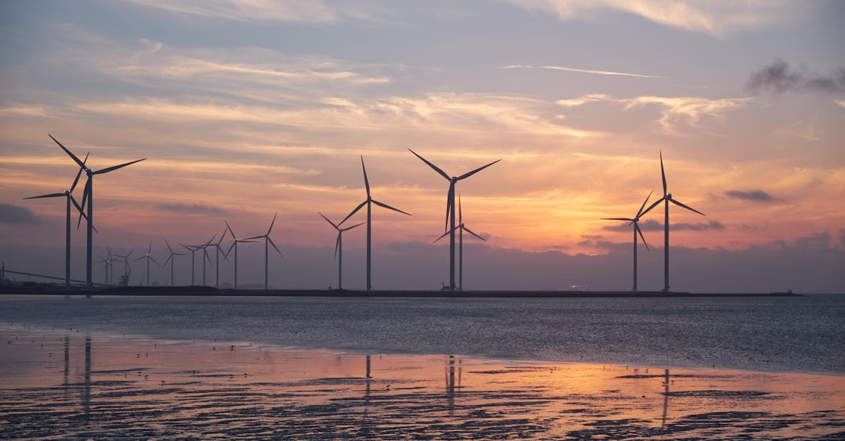 découvrez les principes du développement durable et comment ils peuvent transformer notre société. explorez des pratiques respectueuses de l'environnement pour une croissance économique équilibrée et une qualité de vie améliorée.