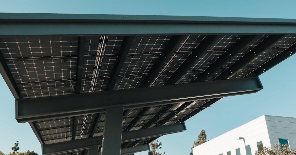 découvrez comment une économie durable transforme notre société en alliant prospérité économique, préservation de l'environnement et responsabilité sociale. explorez les stratégies et initiatives qui favorisent un développement durable pour les générations futures.