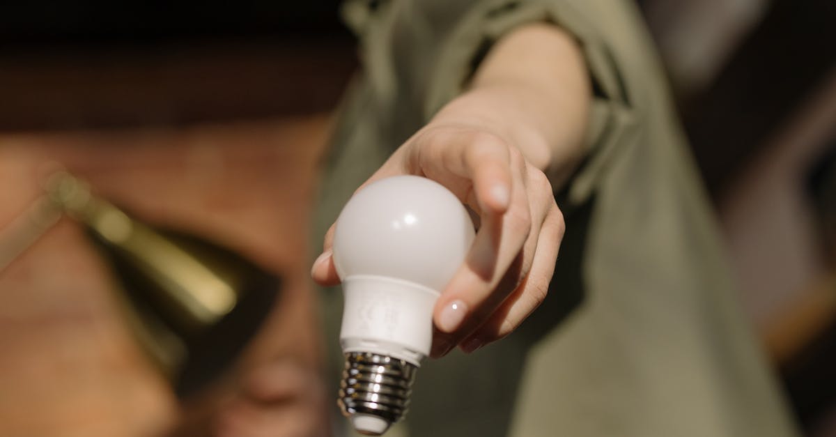 découvrez comment l'innovation durable transforme les entreprises et les sociétés en alliant performance économique et respect de l'environnement. explorez des solutions créatives et écologiques pour un avenir responsable.