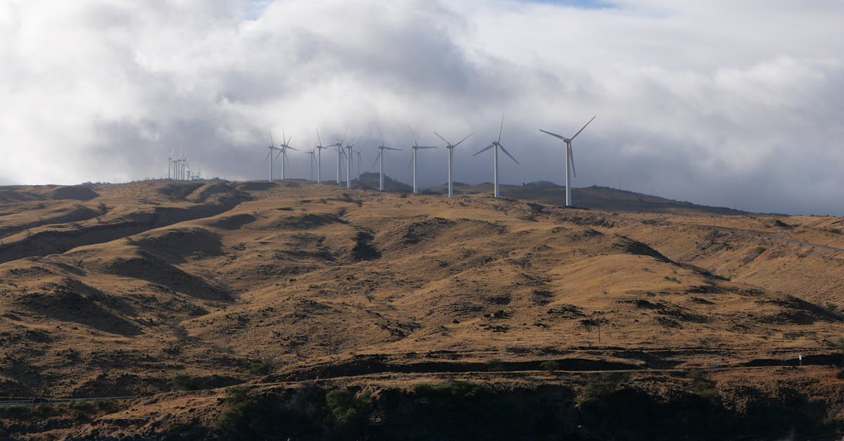 découvrez des solutions durables qui allient innovation et respect de l'environnement. explorez nos conseils et stratégies pour un avenir plus vert et responsable.