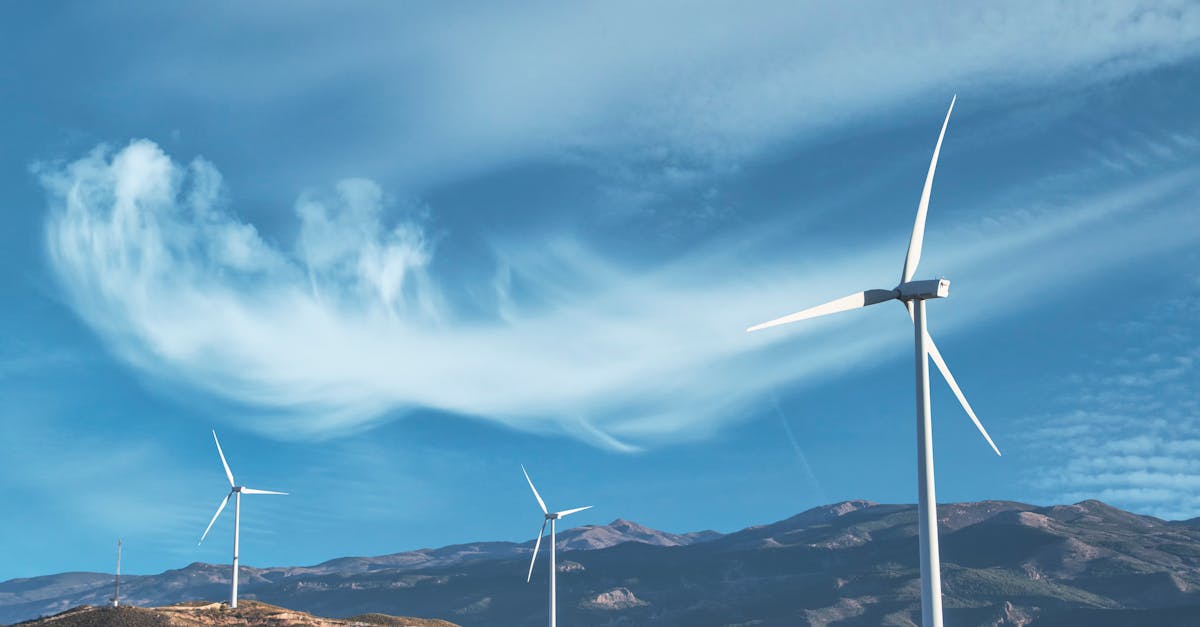 découvrez des solutions durables innovantes pour un avenir plus vert. explorez des approches écoresponsables qui allient efficacité économique et respect de l'environnement.