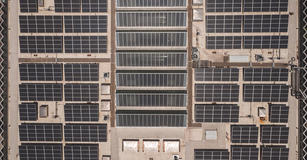 découvrez des solutions durables qui allient innovation et respect de l'environnement. engagez-vous pour un avenir éco-responsable avec nos initiatives écologiques.