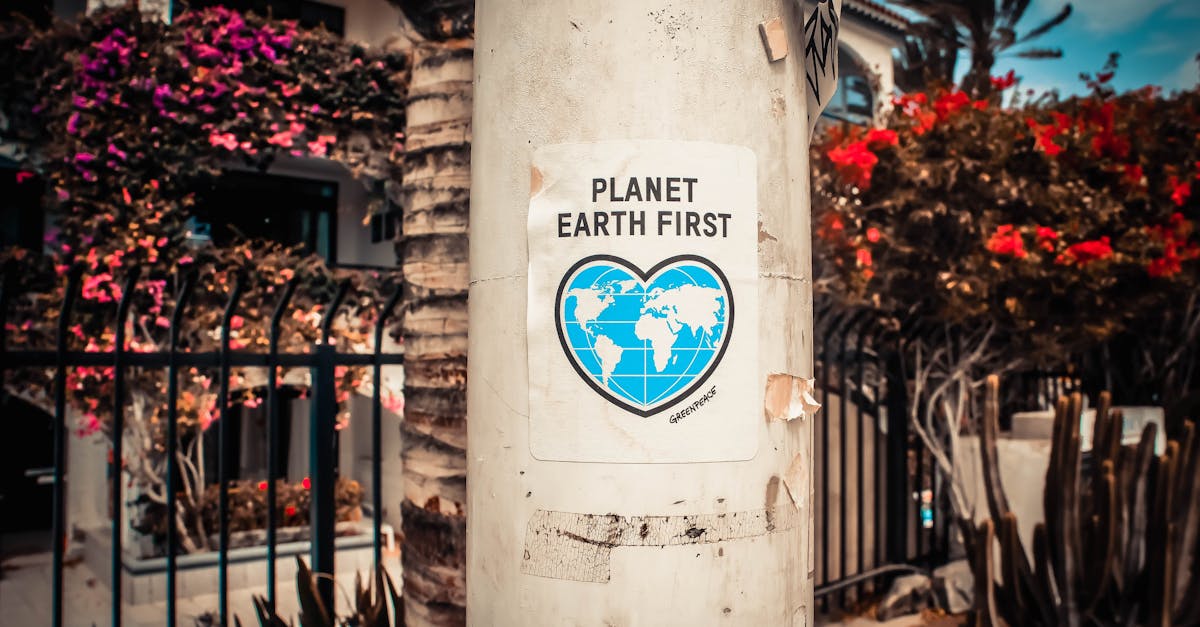 découvrez l'écologie urbaine, une discipline qui explore les interactions entre les écosystèmes naturels et les environnements urbains. apprenez comment les villes peuvent intégrer la nature pour améliorer la qualité de vie, favoriser la biodiversité et promouvoir un développement durable.