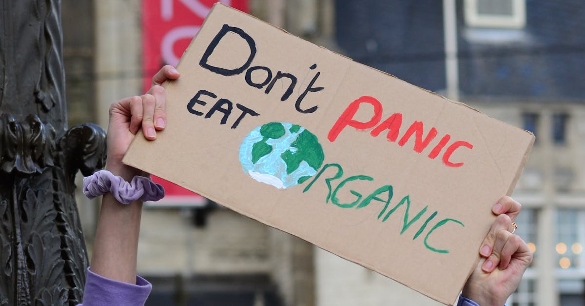 Empowerment écologique : comment agir pour un monde durable