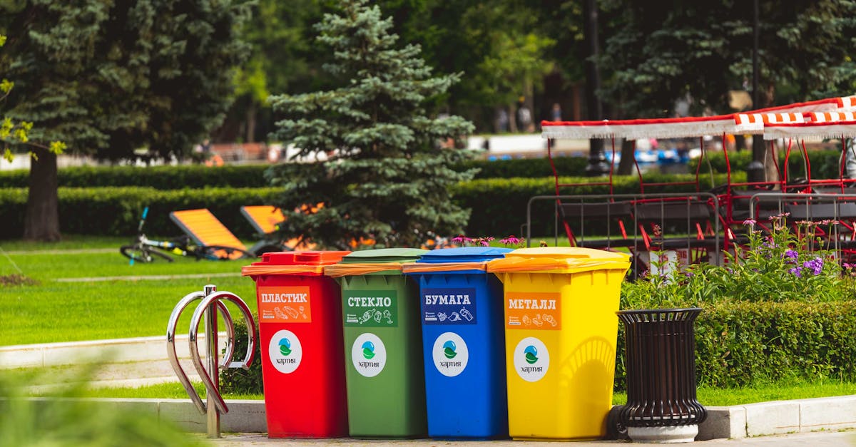 Gestion des déchets : 5 astuces pour un quotidien plus propre