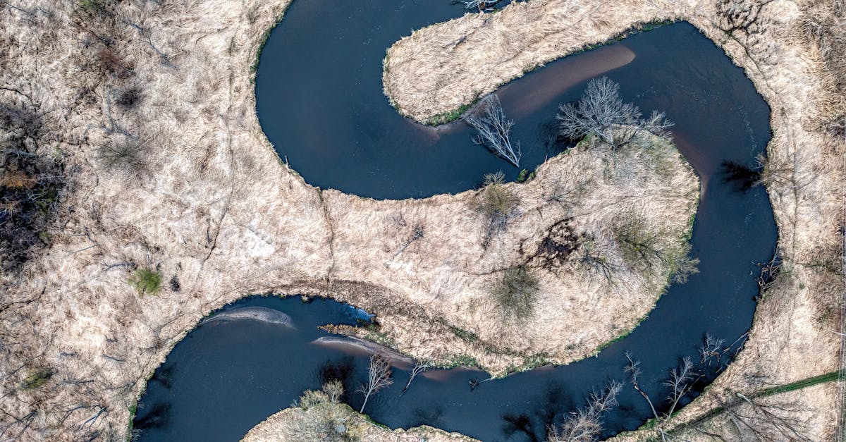 Gouvernance environnementale : vers un avenir durable et responsable