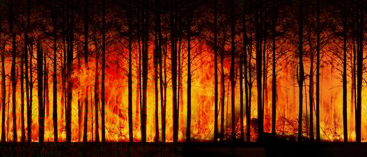 La fresque du climat : un véritable levier pour modifier nos comportements ?