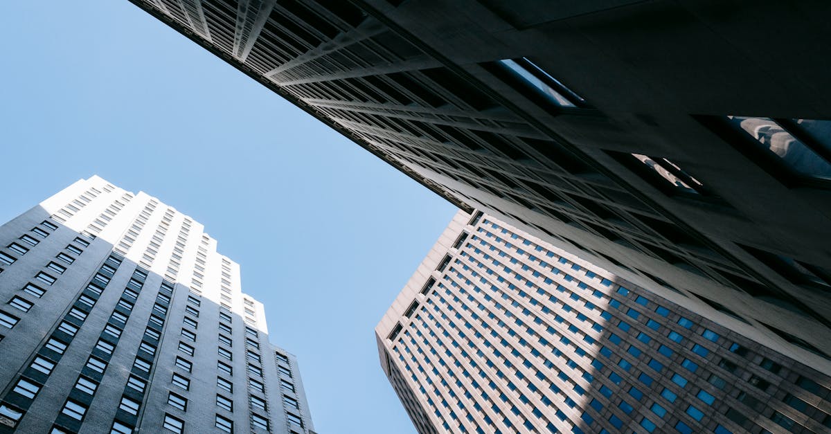 découvrez les enjeux et les opportunités d'une économie bas carbone, une démarche essentielle pour lutter contre le changement climatique tout en favorisant l'innovation et la durabilité. apprenez comment les entreprises et les gouvernements s'adaptent pour un avenir plus vert.