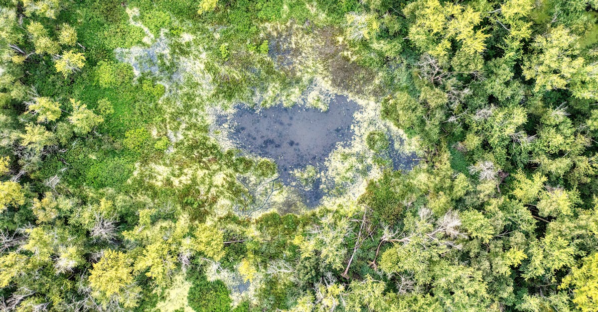 découvrez comment préserver les ressources essentielles de notre planète grâce à des pratiques durables et innovantes. apprenez des stratégies efficaces pour protéger l'environnement et assurer un avenir durable.