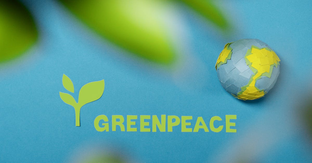 Responsabilité environnementale : agissons pour notre planète