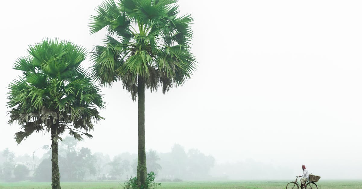 Villages durables : vivre en harmonie avec la nature au quotidien