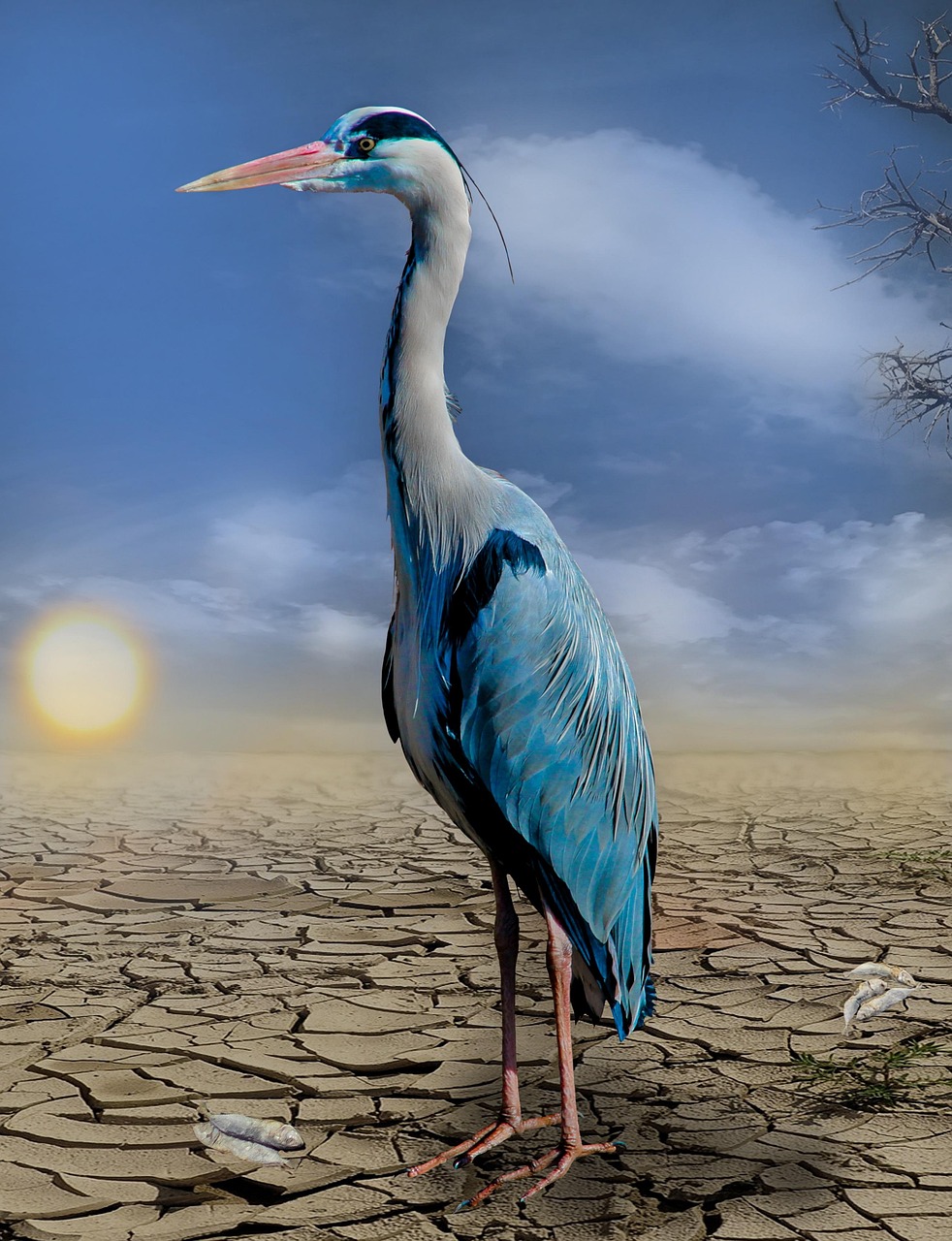 découvrez comment le changement climatique affecte notre planète, ses conséquences sur l'environnement, la biodiversité et notre quotidien, ainsi que les actions que nous pouvons entreprendre pour lutter contre ce phénomène mondial urgent.