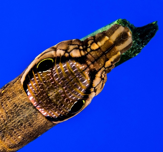 Greenwashing : comment &eacute;viter de tomber dans le pi&egrave;ge des faux &eacute;colos