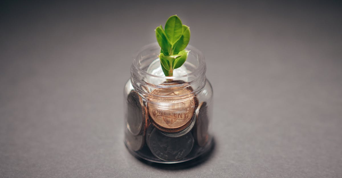 découvrez le concept d'entrepreneuriat vert, une approche innovante qui combine respect de l'environnement et opportunités économiques. explorez des idées durables, des stratégies éco-responsables et des exemples inspirants pour bâtir un avenir meilleur tout en réussissant dans le monde des affaires.