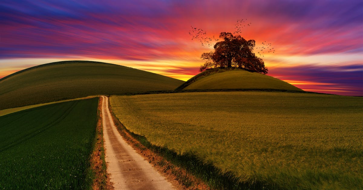 découvrez le green pathway, un parcours écoresponsable dédié à la promotion de la durabilité et du respect de l'environnement. explorez des initiatives vertes, des projets innovants et des solutions durables pour un avenir meilleur.