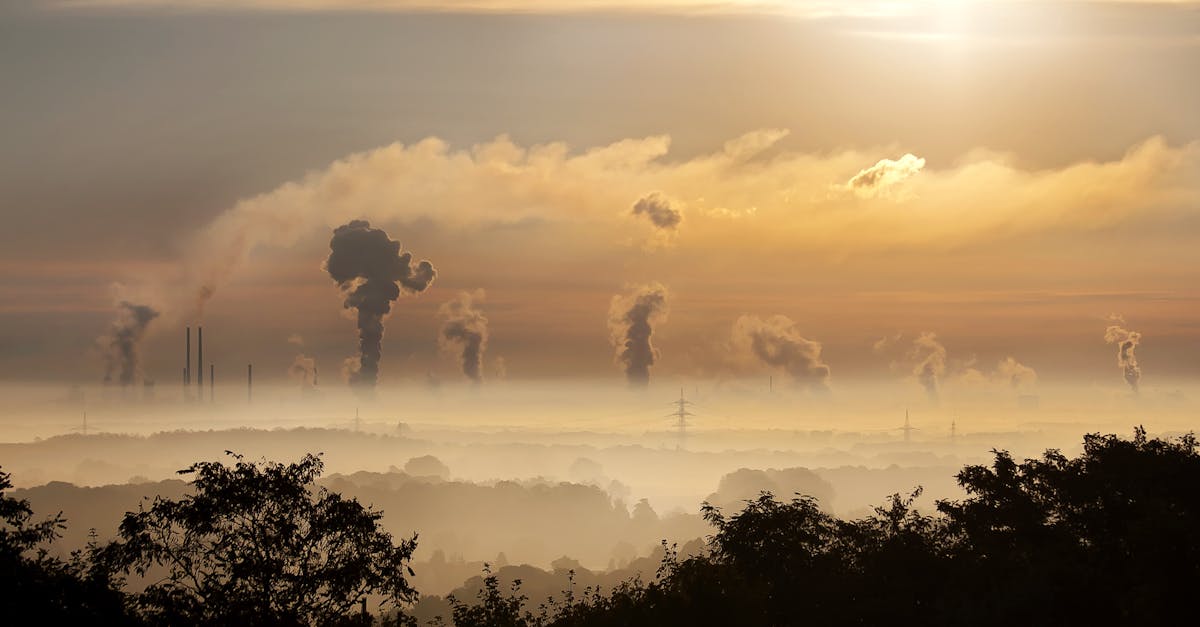 découvrez l'impact de la pollution sur notre environnement et notre santé. explorez les causes, les conséquences et les solutions pour lutter contre ce fléau mondial.
