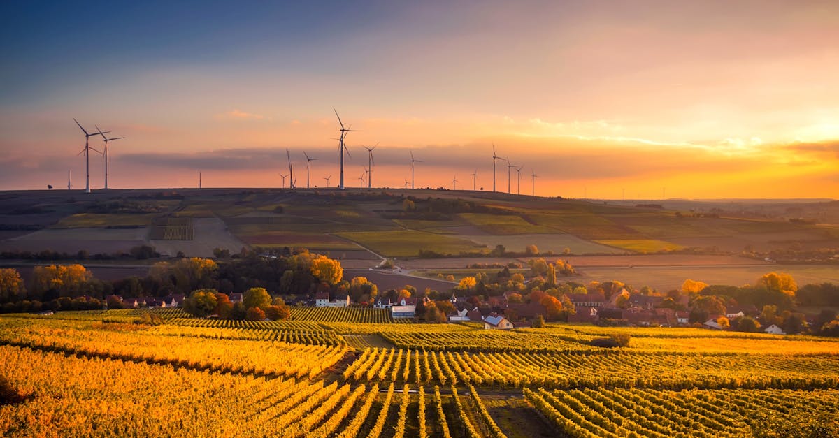 découvrez les clés de la durabilité et comment adopter des pratiques respectueuses de l'environnement pour un avenir plus vert. explorez des conseils, des stratégies et des initiatives pour vivre de manière responsable et durable.