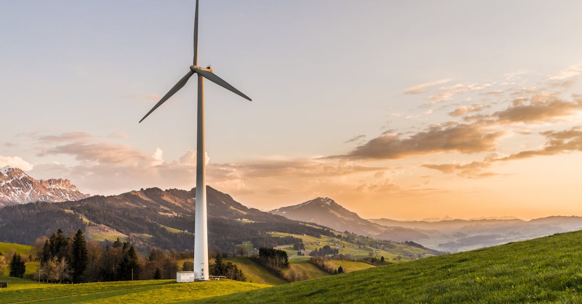 découvrez comment la durabilité façonne notre avenir, en explorant des pratiques écologiques, des innovations durables et des initiatives responsables pour préserver notre planète.