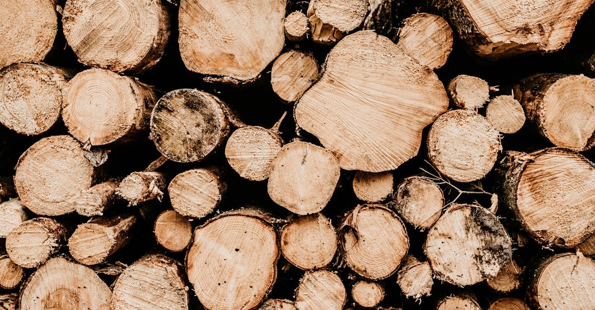 découvrez des agendas durables qui allient fonctionnalité et respect de l'environnement. organisez votre quotidien tout en adoptant une démarche éco-responsable grâce à nos produits conçus à partir de matériaux recyclés. optez pour une gestion du temps qui préserve la planète !