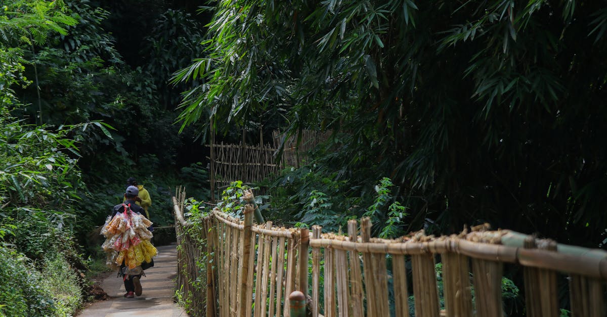 découvrez l'importance des forêts durables pour la biodiversité, la lutte contre le changement climatique et la préservation des ressources naturelles. apprenez comment une gestion responsable de nos forêts peut contribuer à un avenir plus vert.