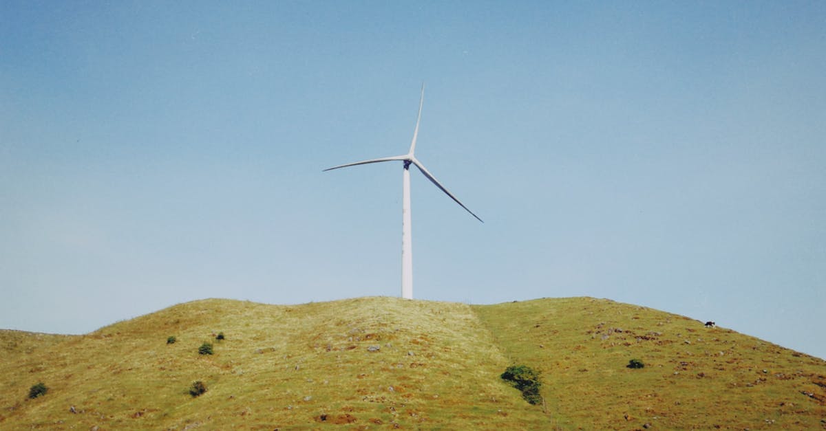 découvrez l'investissement durable, une approche éthique qui allie performance financière et impact positif sur l'environnement et la société. investissez dans un avenir responsable tout en générant des rendements.
