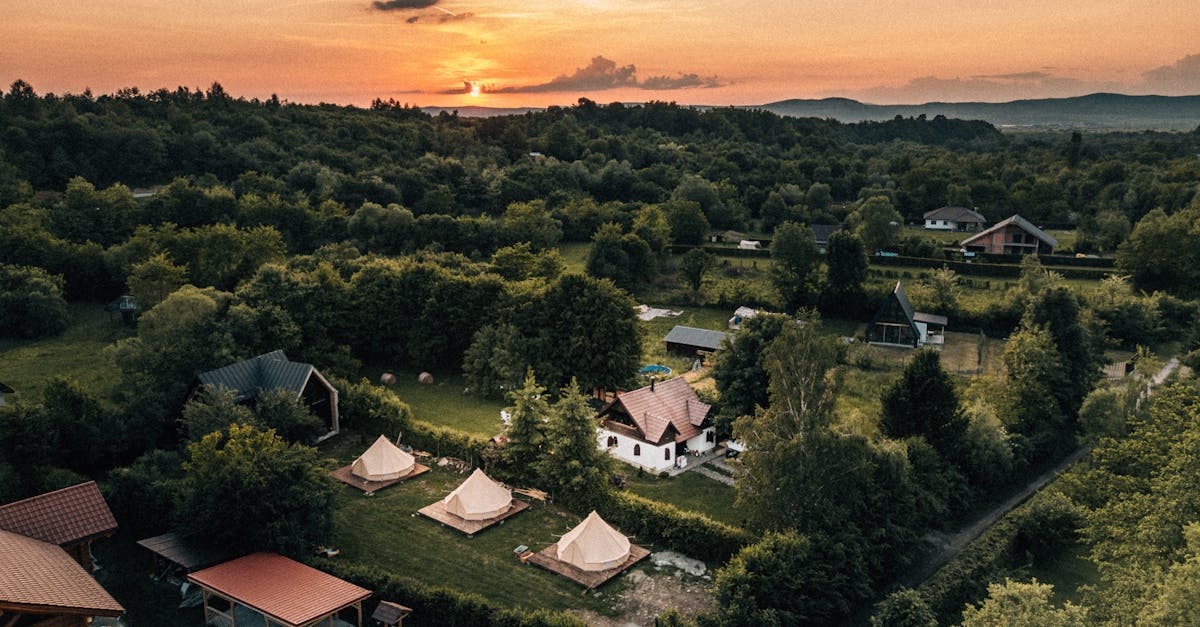 découvrez comment les partenariats durables transforment les entreprises et favorisent un avenir respectueux de l'environnement. explorez des stratégies innovantes et des collaborations qui allient rentabilité et responsabilité écologique.