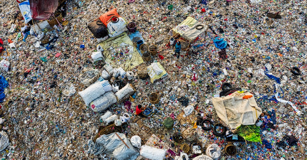 découvrez des solutions innovantes pour la gestion des déchets. optimisez vos processus, réduisez votre impact environnemental et adoptez des pratiques durables pour un avenir plus vert.