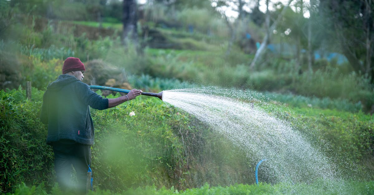 découvrez les principes de l'agriculture durable, une approche qui préserve l'environnement tout en garantissant une production alimentaire responsable et éthique. apprenez comment cette méthode favorise la biodiversité et soutient les communautés locales.