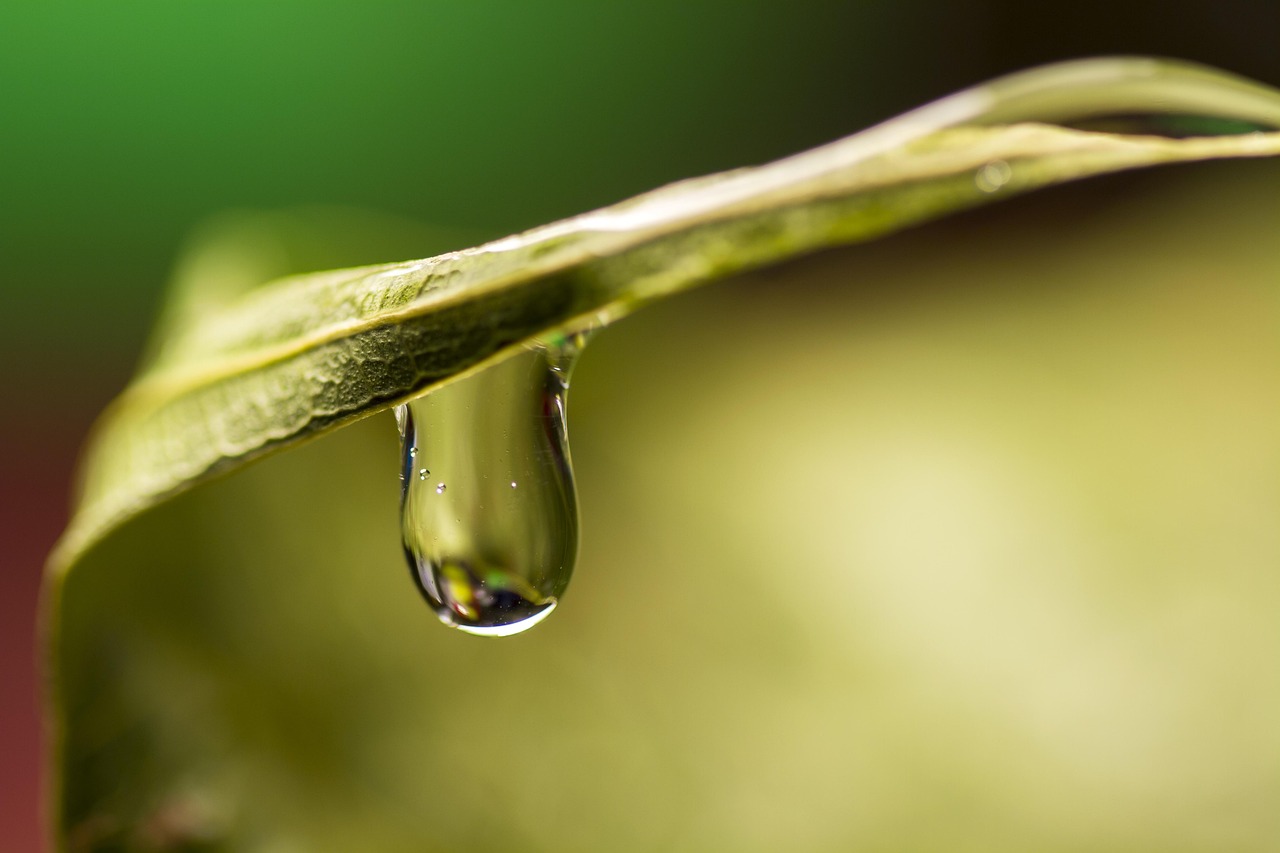 découvrez l'impact écologique de nos actions sur l'environnement. analysez les conséquences de nos choix quotidiens sur la biodiversité, le climat et la santé de notre planète. agissons ensemble pour un avenir durable.