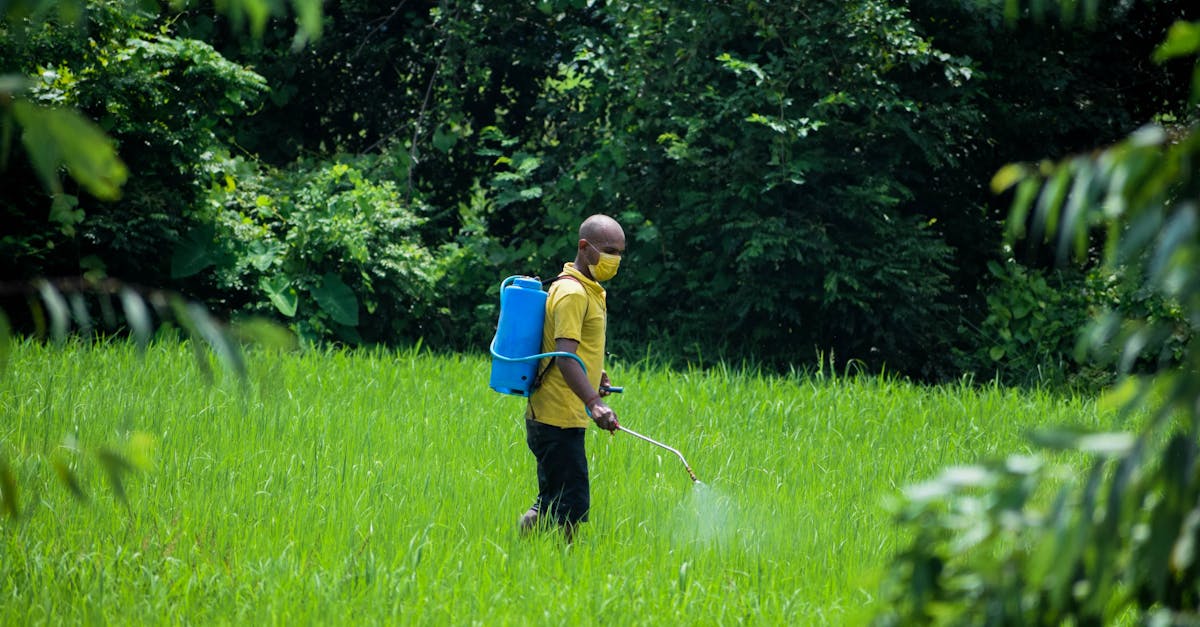 découvrez les pesticides écologiques, une alternative durable et respectueuse de l'environnement pour protéger vos cultures tout en préservant la biodiversité. apprenez comment ces solutions naturelles combattent les nuisibles sans nuire à la santé humaine ni à l'écosystème.